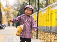 -三里屯东五街银杏大道