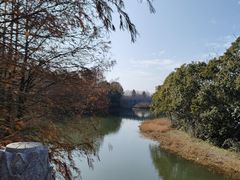 -上海海湾国家森林公园