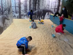 -恐龙探索乐园(磁器口店)