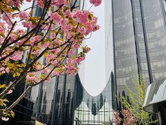 -T11生鲜超市(朝阳公园店)
