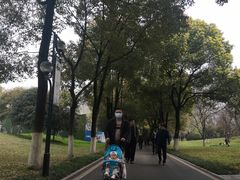 -堤角公园