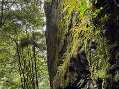 -石台牯牛降景区