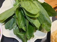 -芦月轩羊蝎子(劲松店)