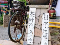 -亚龙湾热带天堂森林公园