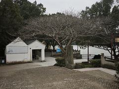 -河姆渡遗址博物馆