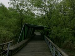 -西湖风景区-江洋畈生态公园