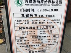-西双版纳原始森林公园