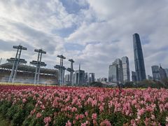 -海心沙亚运公园