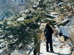 -崂山巨峰游览区
