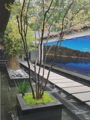 -爱儿美儿童摄影(朝阳公园店)