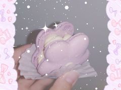 半熟花花马卡龙柚子樱花味-好利来(革新店)