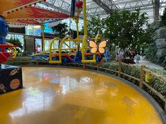 -南宫五洲植物乐园