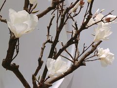 -不凡脑禅境·养生·舒压调理SPA(华发世纪城店)