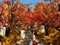 -Blue Concept Cafe&Farm·關於藍