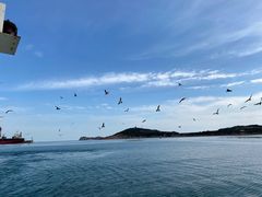 -海驴岛(荣成市)