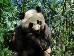 -陕西自然博物馆