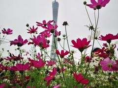 -海心沙亚运公园