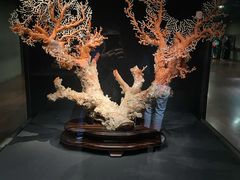 -台北故宫博物院