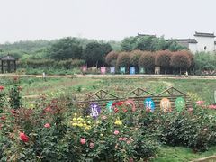 -武汉紫薇都市田园