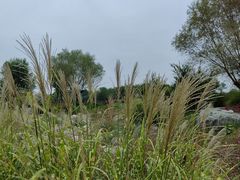 -汉长安城未央宫国家考古遗址公园