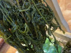 -塔兰齐新疆孜然火锅(鲤鱼山路店)