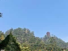 -缙云山景区