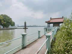 -无锡蠡湖国家湿地公园-蠡园
