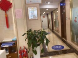 -碧莲盛·不剃发植发