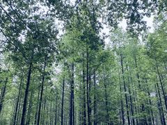 -河南省黄河迎宾馆