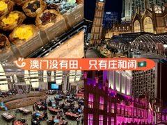 -澳门威尼斯人综合度假区