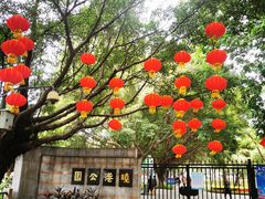 -晓港公园