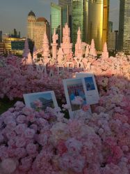 -迈瑞米求婚策划(静安店)