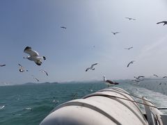 -海驴岛(荣成市)