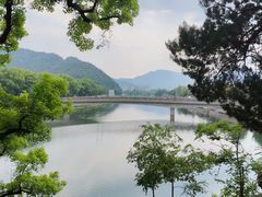 -蒋氏故居
