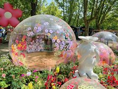 -上海共青森林公园