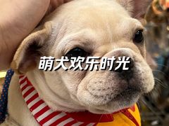 -汇德隆银隆
