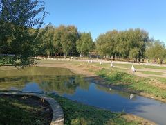 -哈尔滨北方森林动物园