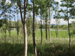 -野鸭湖国家湿地公园