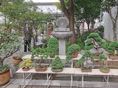 -凤凰寺