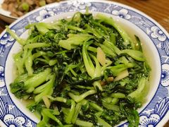 -大队长大灶鹅
