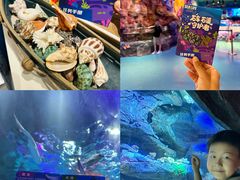 -沈阳海洋探索中心