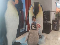 -帝企鹅自助餐厅•儿童岛•真企鹅(长隆企鹅酒店)