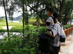 -星湖旅游景区七星岩