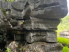 -梭布垭石林景区