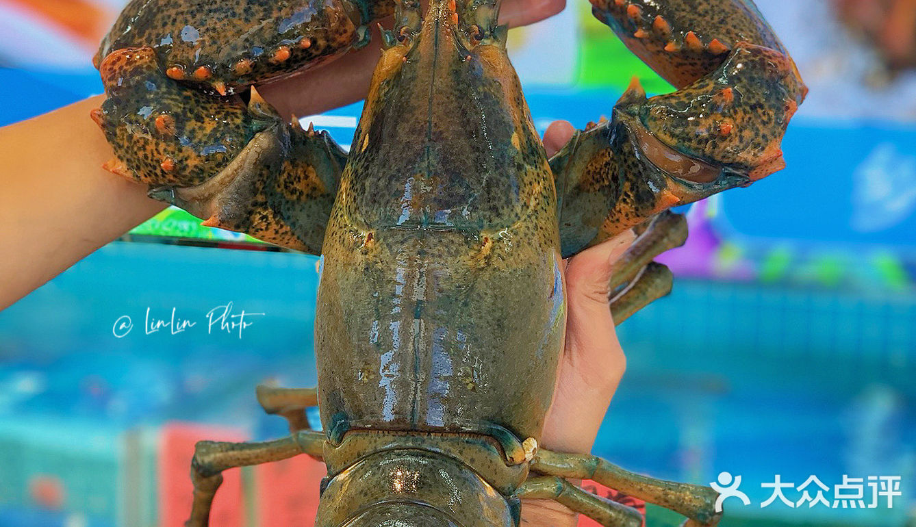 趁夏天还在！阳光正好！再去海边一趟～