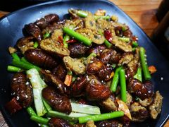 -老姜烧烤俱乐部(绿韵广场店)