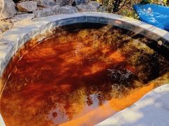 -江南天池高山汤泉城
