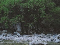 -沣峪口