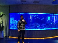 -上和臻品中国菜(花园街店)