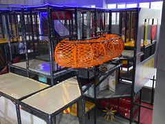 -嗨翻Hi-Fun竞技主题乐园·蹦床亲子生日轰趴(国光1937店)